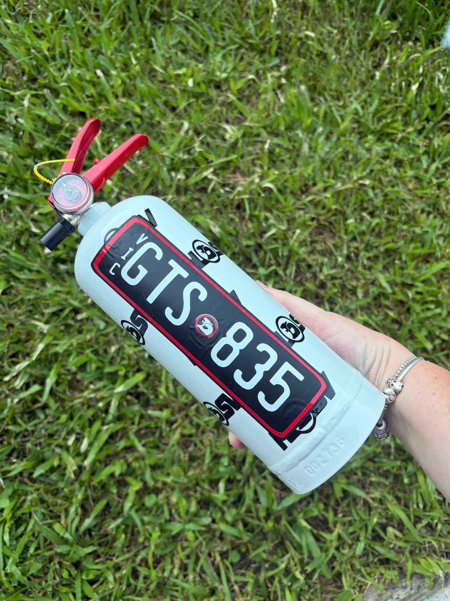 Standard Colour Pattern & Plate